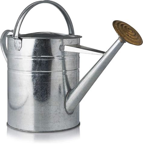 two gallon metal watering can